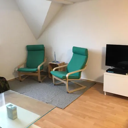 Apartamento Maisonette Im Herzen Von Mit Münsterblick Zwickau